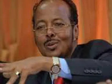 MP Questions Excessive Criticism of Ruto