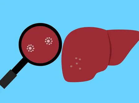 Forensic Biomechanics of the Liver: Revealing Trauma Mechanisms in Criminal Cases