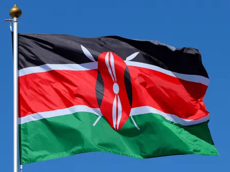 Outrage as Mogadishu FC Fans Mock Kenyan Flag: What the Law Says